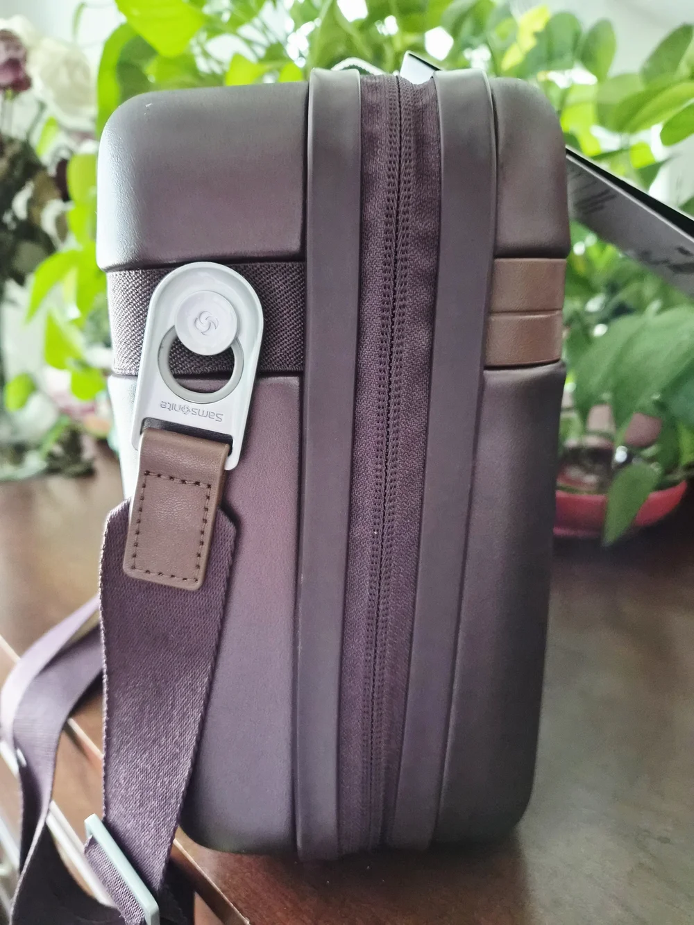 Samsonite Virtuosa Train Case